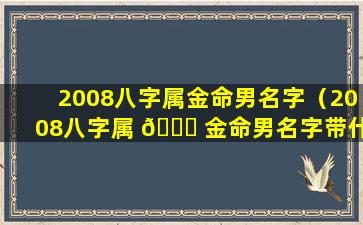 2008八字属金命男名字（2008八字属 🐒 金命男名字带什 🐛 么好）